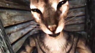 Oral Pleasure & Doggystyle In Skyrim Porn Parody