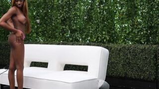 Well-formed Black hot girl gets a hard meat deep inside her snatch