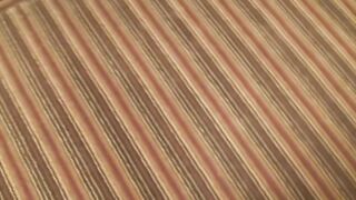 Blonde Teen Midwesterner Creampied Doggystyle