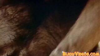 Retro gay porn horny muscle men big dick sucking sixtynine